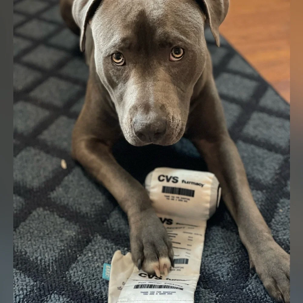 Bark CVS receipt dog toy🌟 - Picture 5 of 5